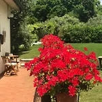 Le Casette Sul Garda Bed and Breakfast