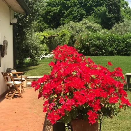 Le Casette Sul Garda Oda ve Kahvaltı