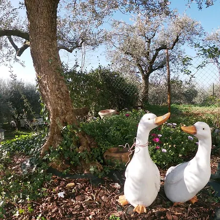 Oda ve Kahvaltı Le Casette Sul Garda Cavaion Veronese